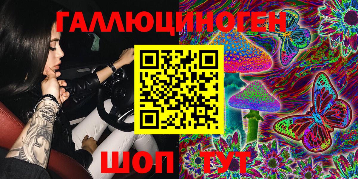 Галлюциногенные грибы Psilocybine cubensis  Вход с VPN  Пугачёв 